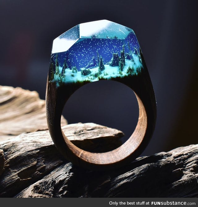 Epic winter carving inside a wooden ring