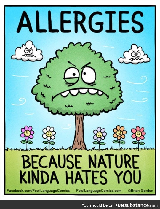 Truth about allergies