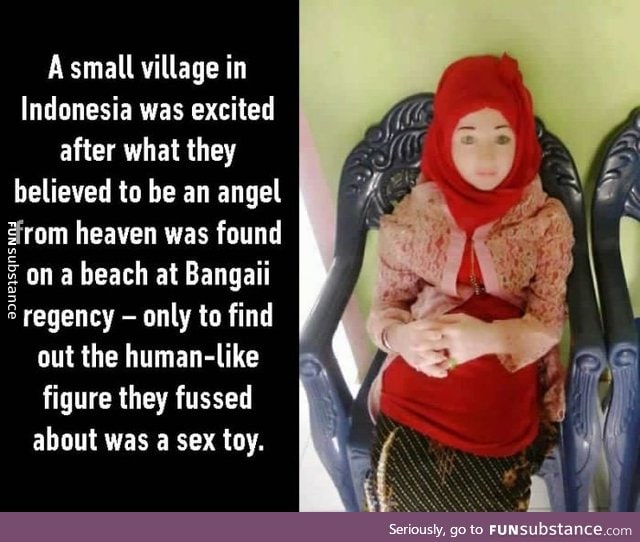 An 'angel' locals believed fell from the sky turns out to be a sex toy,