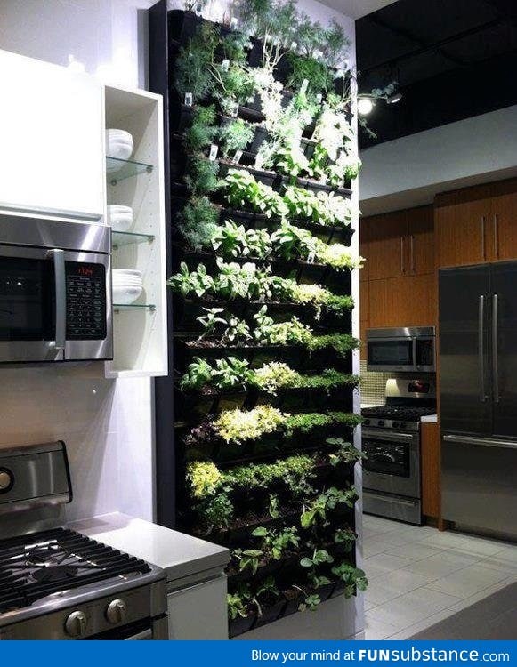 The Ultimate Spice Rack