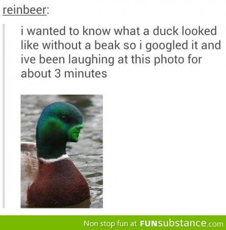 How duck look like without a beak