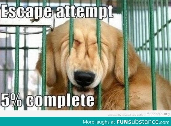 Escape attempt: 5% complete