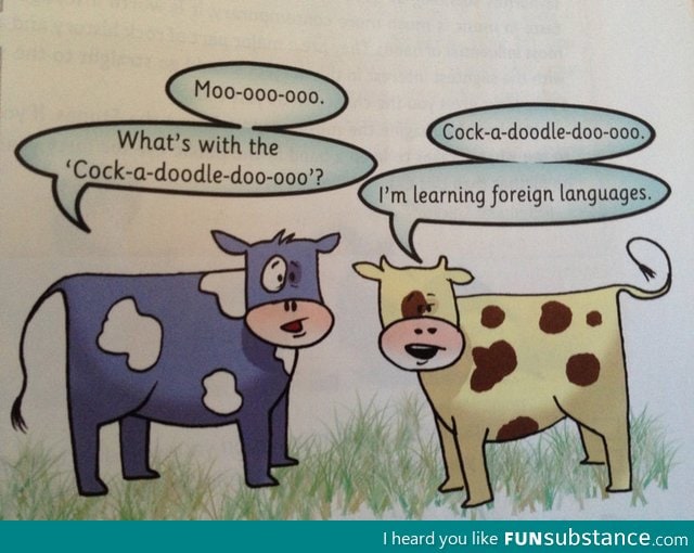 English Book Joke