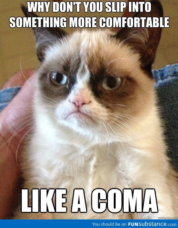 This is my new favorite grumpy cat