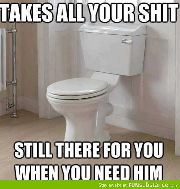 Good Guy Toilet