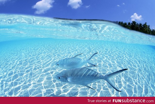 Maldives transparent water and blue sky