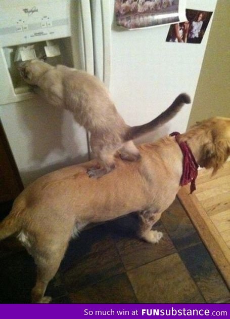 Teamwork