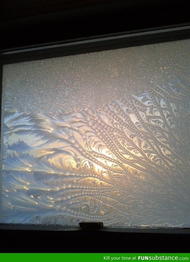 Friend posted this pic of frost on her window today