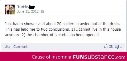 Spiders