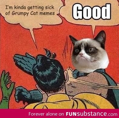 Grumpy Cat Is Everywhere