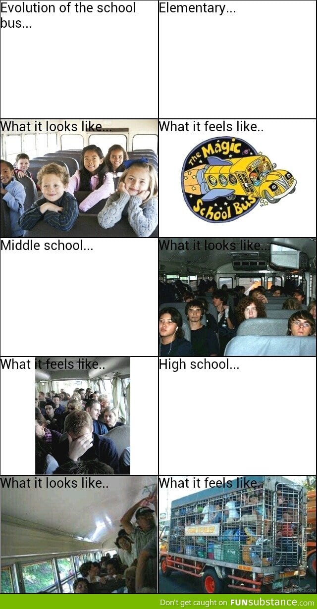 Evolution of the school bus