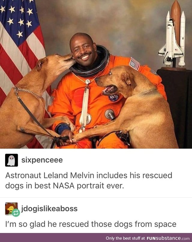 the space doggies