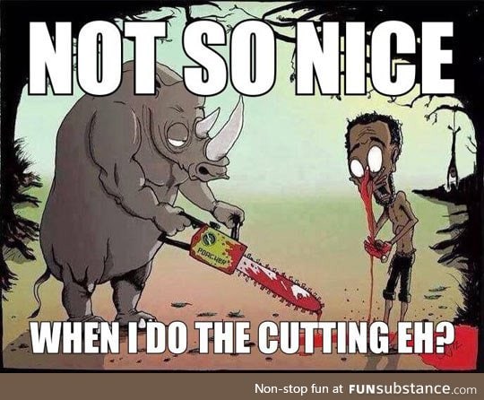 Rhinos get revenge