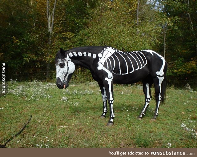 What about a painted horse?