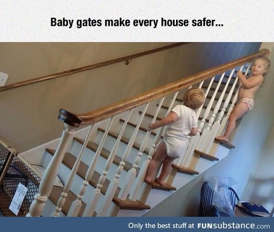 Baby gates are nothing for them