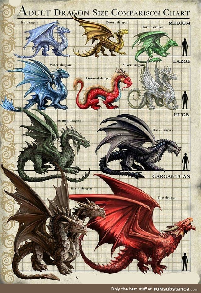 Dragon Size Comparison