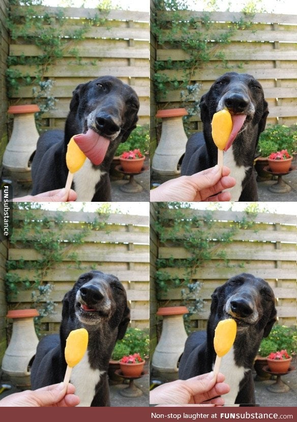 Snoop Doge loving his popsicle