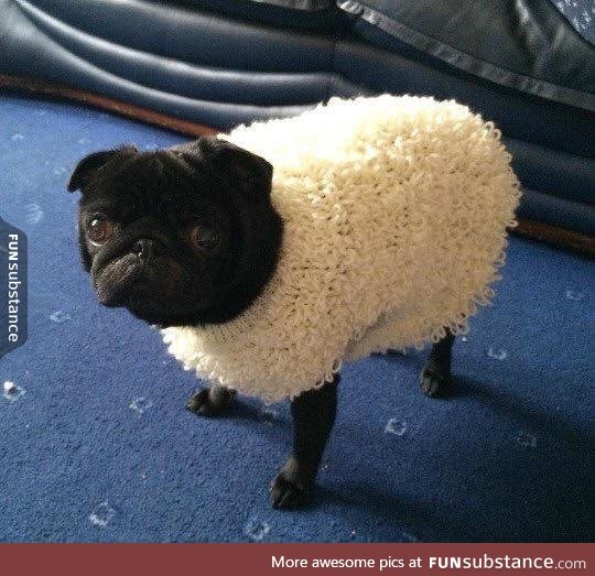 Shaun the Sheep