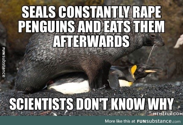 Seals are rapists and cannibals