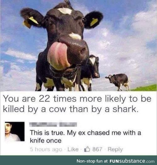 Cow