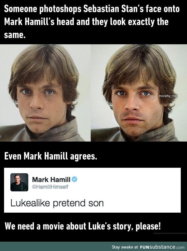 Sebastian Stan looks just like a young Luke Skywalker