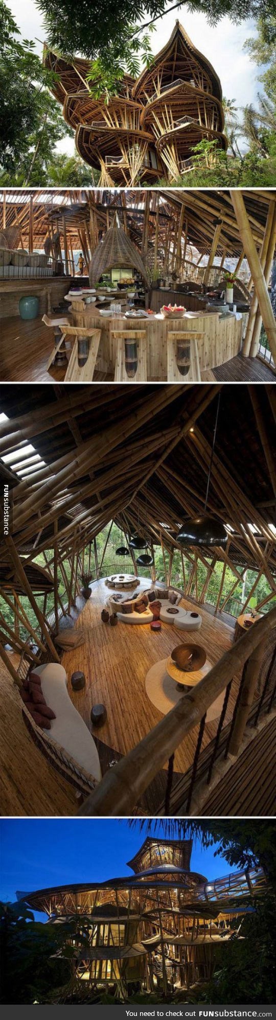 Perfect place for a vacation in the middle of a forest