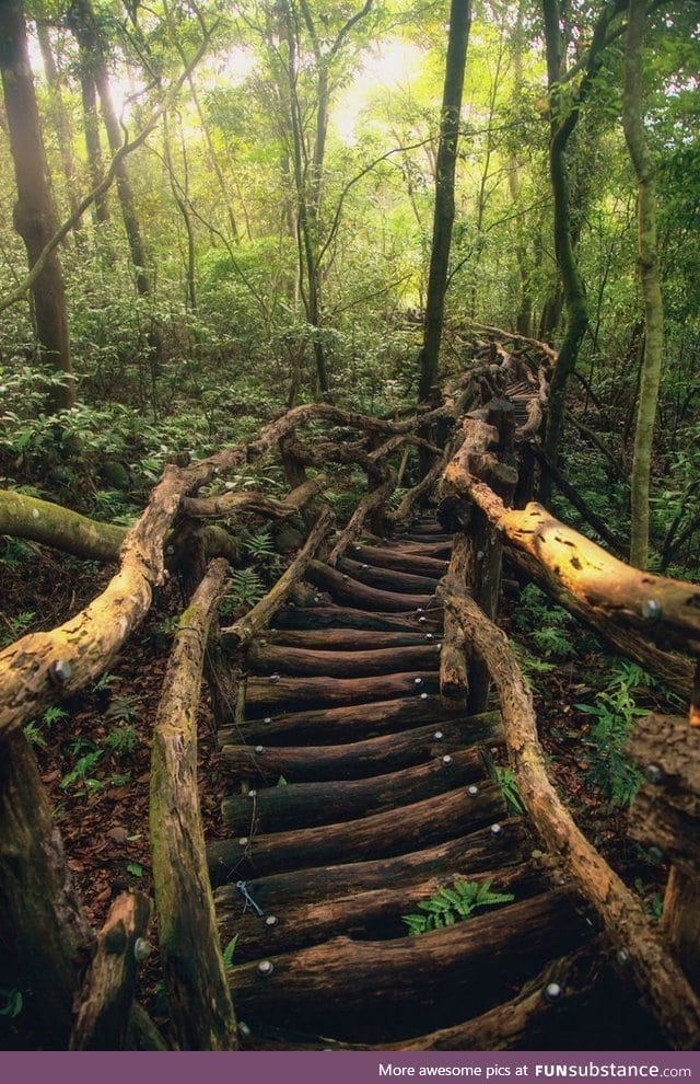 The serpentine path, Taiwan