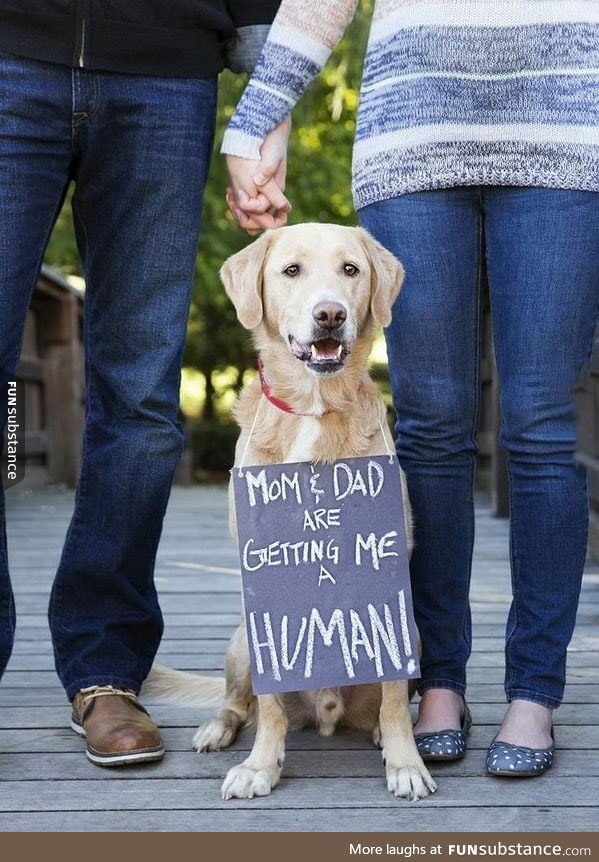 A Dog's Perspective on Human Baby