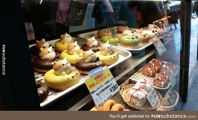 These donuts in Japan