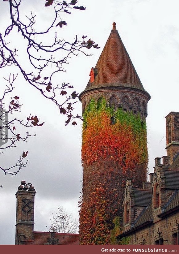 Ivy Тower, Belgium