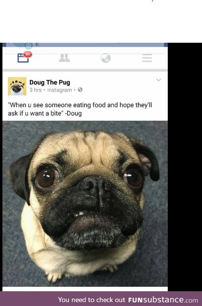 i feel you Doug the pug