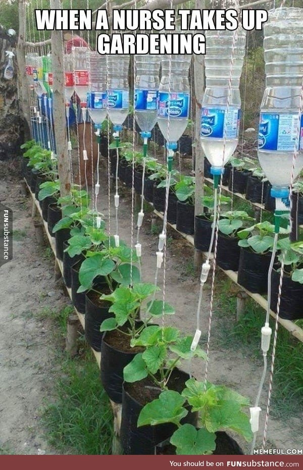 When a nurse takes up gardening