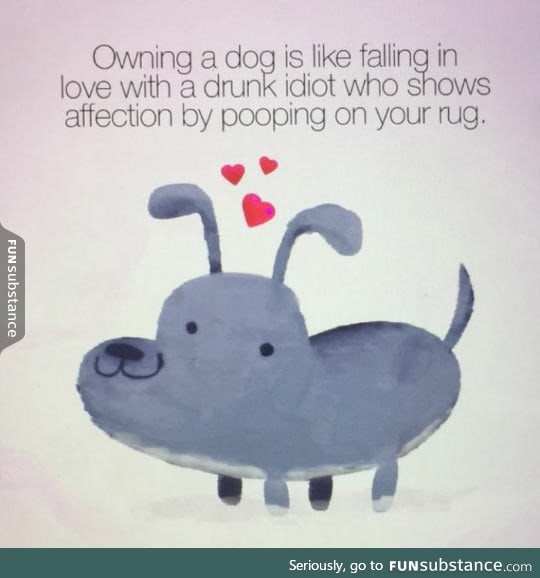Owning a dog