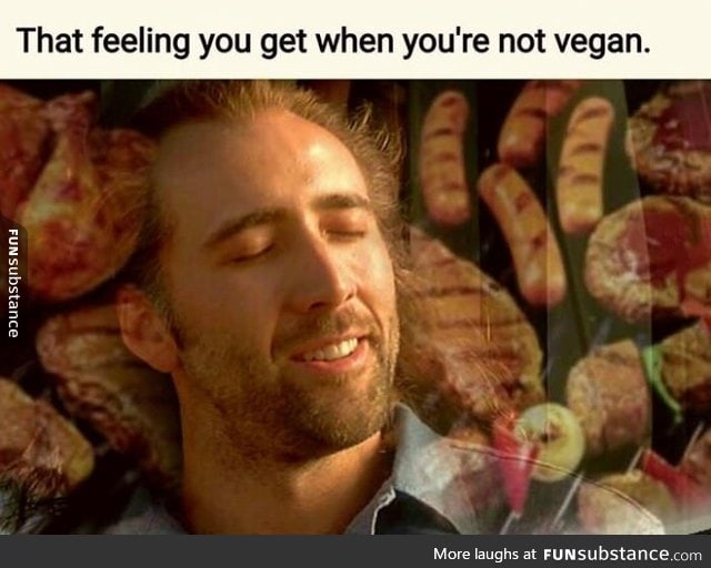 A reason I'm not vegan