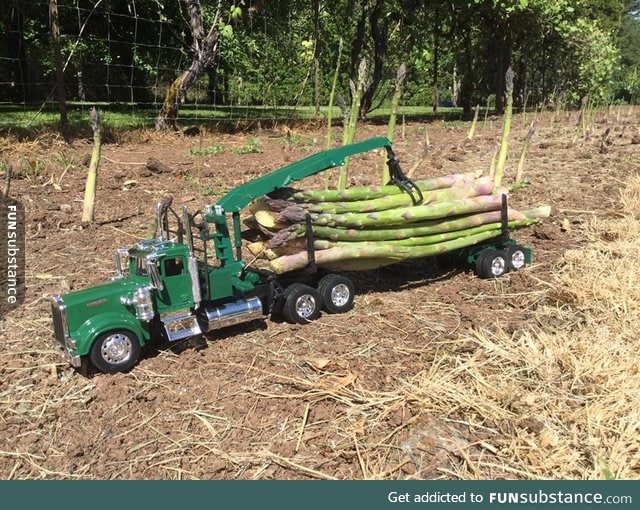 Asparagus hauling