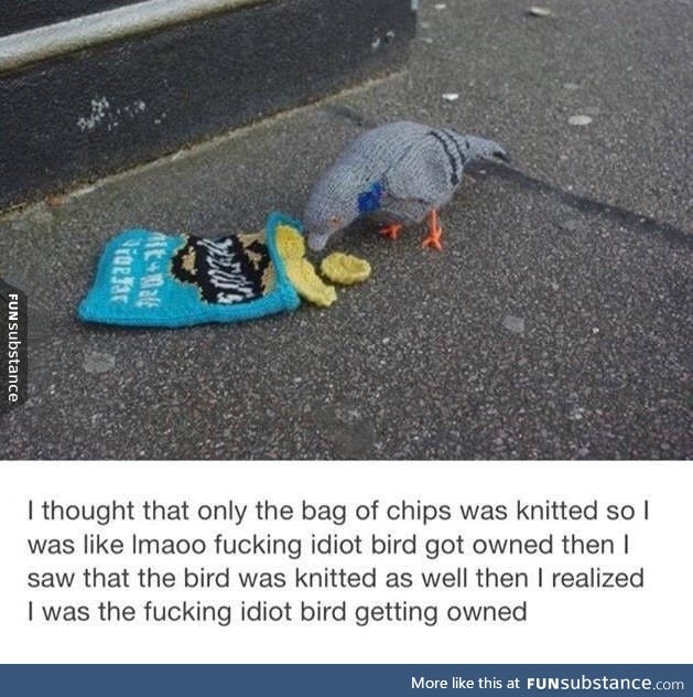 Silly bird