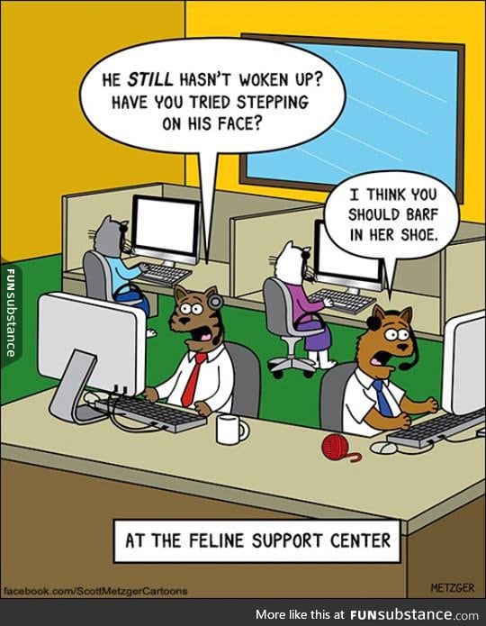 Cat support center