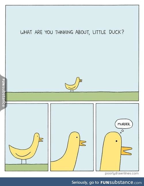 This is why I hate ducks