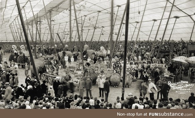 What going to the circus looked like in 1931