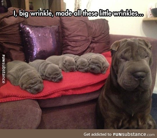 The wrinkle family