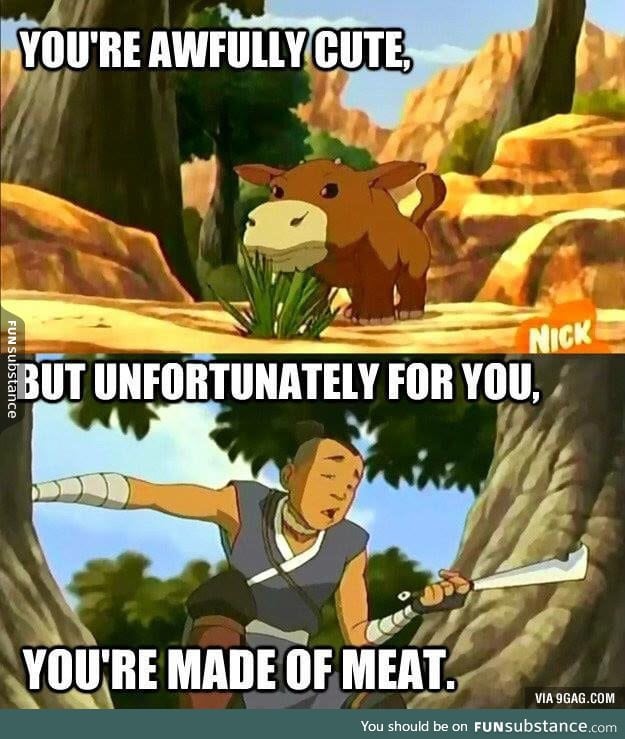 Sokka is right of course