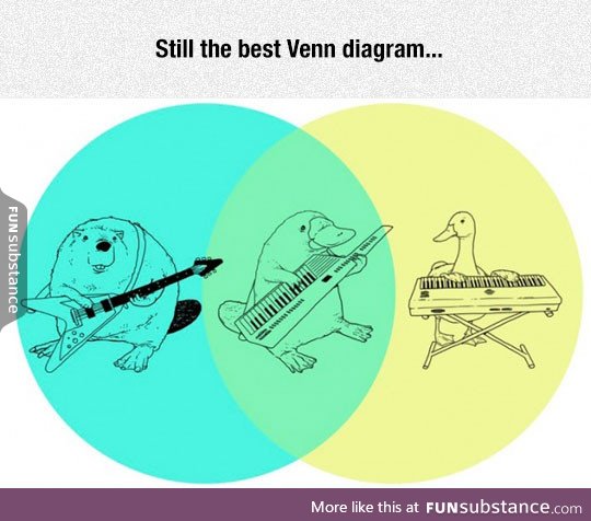 Brilliant venn diagram