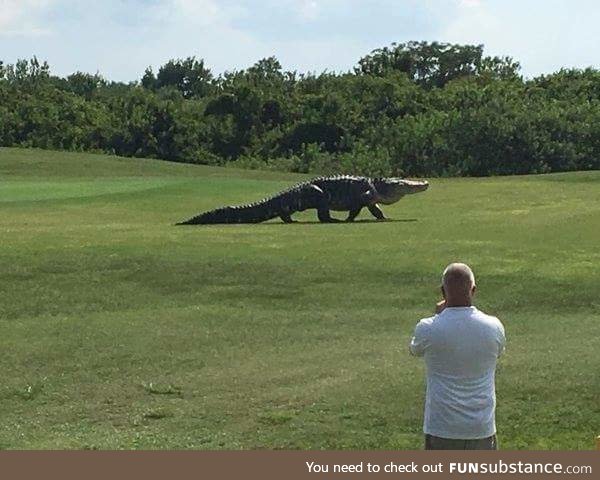 Apparently the next Jurassic World is taking place in a golf course