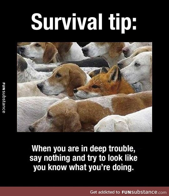 Important survival tip