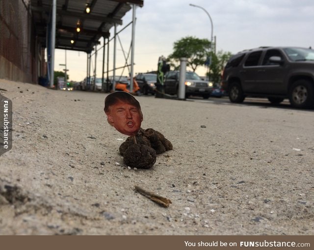 Someone is sticking tiny Donald Trump faces on dog poo