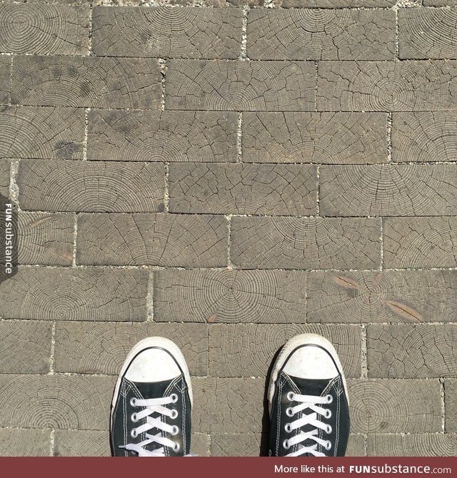 This brick road's bricks are made out of wood