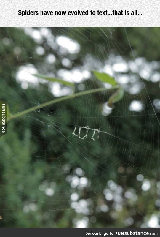 Texting spiders