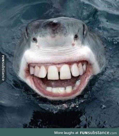 If sharks had human teeth