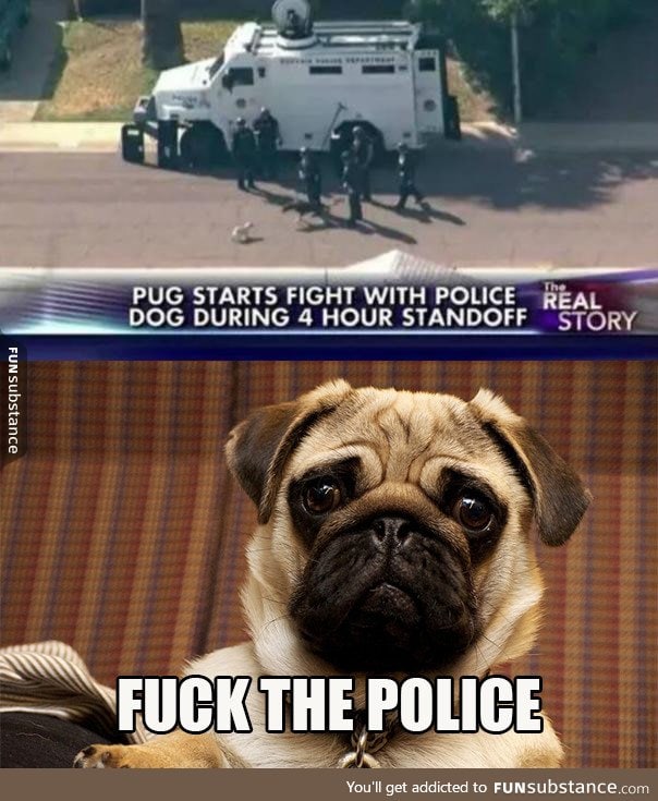 Pug the police