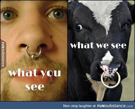 Why Are So Many People Getting a Septum Piercing Lately?